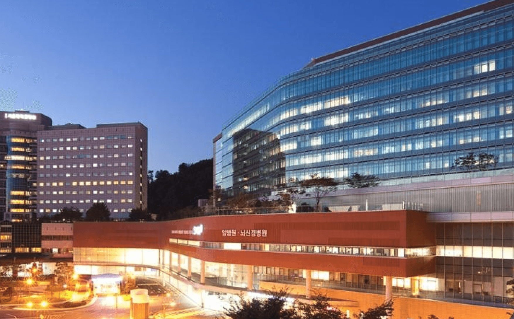 분당서울대병원